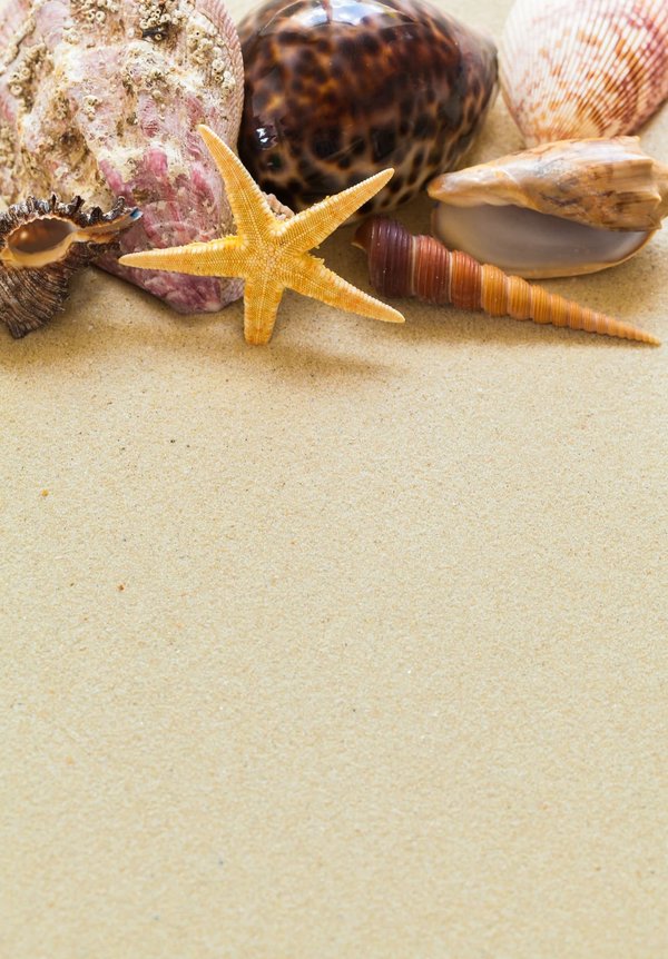 Les vacances en camping sur l'ile de Ré: de larges activités pour chacun.