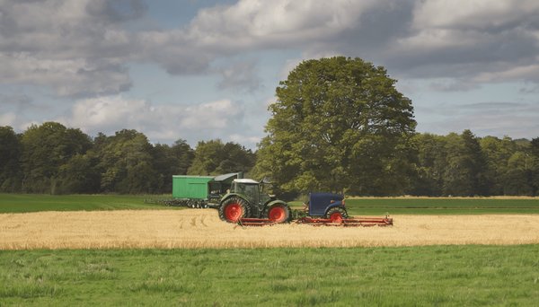 Top 5 conseils pour obtenir une médaille du mérite agricole